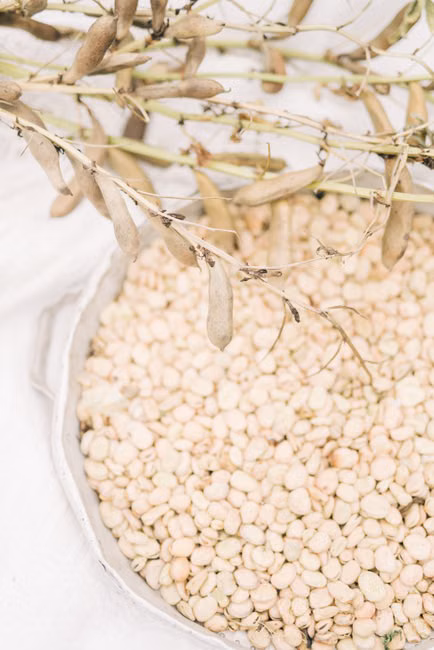 Farinha de Trigo (1kg)